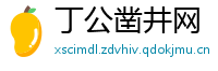 丁公凿井网